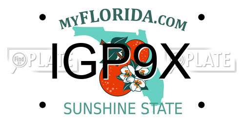 IGP9X Florida License Plate