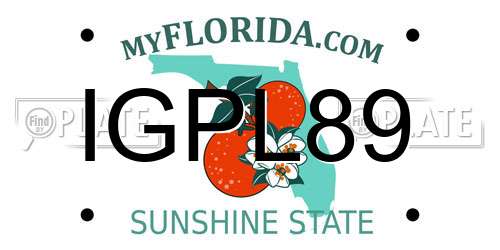 IGPL89 Florida License Plate