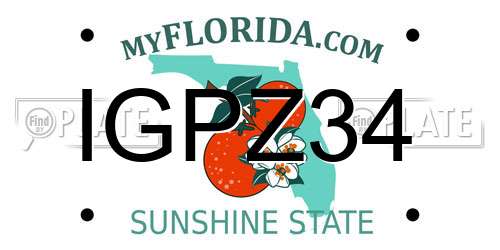 IGPZ34 Florida License Plate