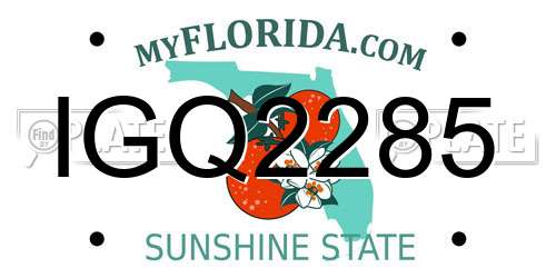 IGQ2285 Florida License Plate