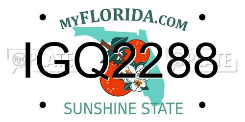 IGQ2288 Florida License Plate