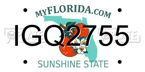 IGQ2755 Florida License Plate
