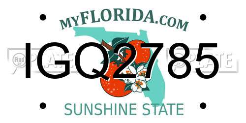 IGQ2785 Florida License Plate