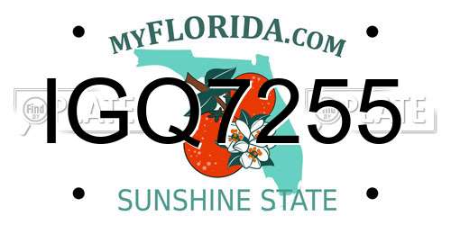 IGQ7255 Florida License Plate