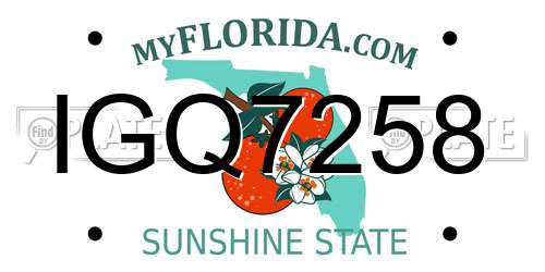 IGQ7258 Florida License Plate