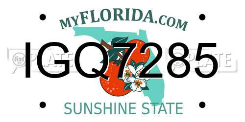 IGQ7285 Florida License Plate