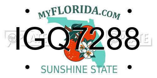 IGQ7288 Florida License Plate