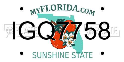IGQ7758 Florida License Plate