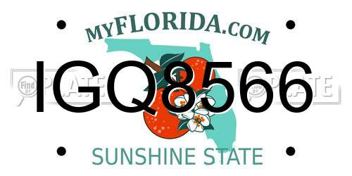 IGQ8566 Florida License Plate