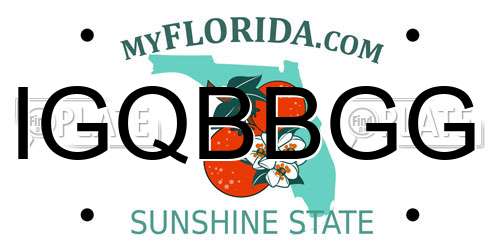 IGQBBGG Florida License Plate