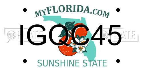 IGQC45 Florida License Plate