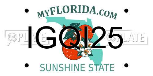 IGQI25 Florida License Plate