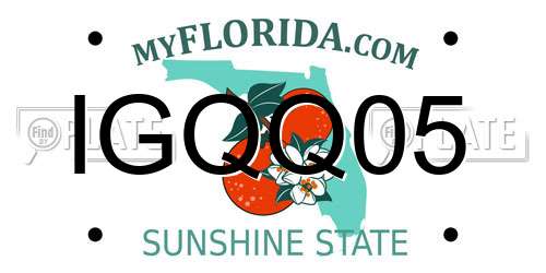IGQQ05 Florida License Plate