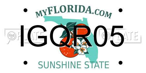 IGQR05 Florida License Plate