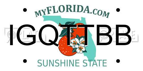 IGQTTBB Florida License Plate