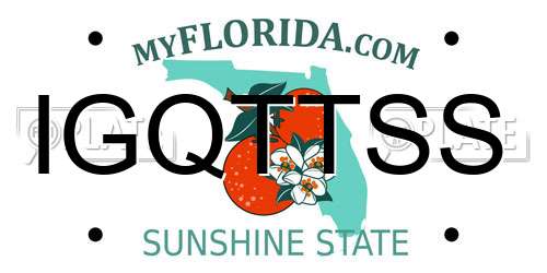 IGQTTSS Florida License Plate