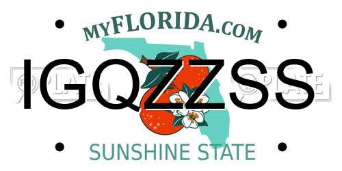 IGQZZSS Florida License Plate