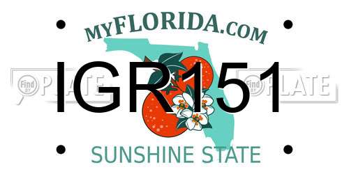 IGR151 Florida License Plate
