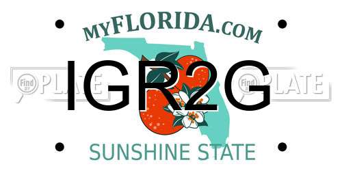 IGR2G Florida License Plate