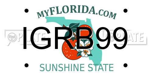 IGRB99 Florida License Plate
