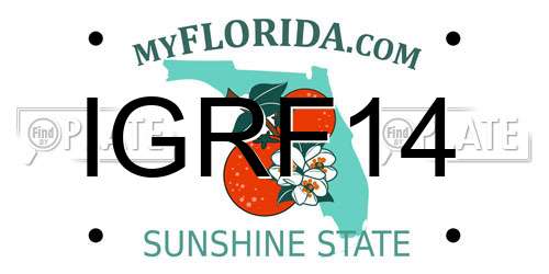 IGRF14 Florida License Plate