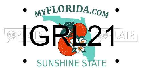 IGRL21 Florida License Plate