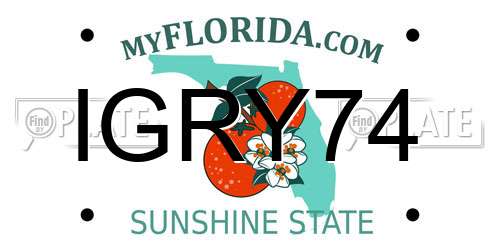 IGRY74 Florida License Plate