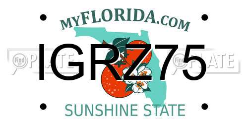 IGRZ75 Florida License Plate