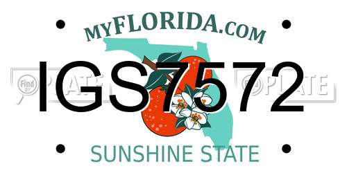 IGS7572 Florida License Plate