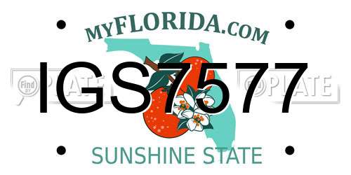 IGS7577 Florida License Plate