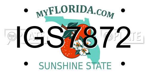 IGS7872 Florida License Plate