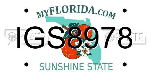 IGS8978 Florida License Plate