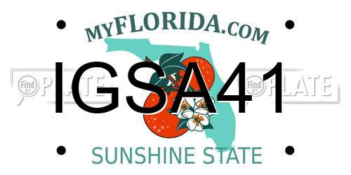 IGSA41 Florida License Plate