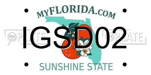 IGSD02 Florida License Plate