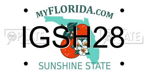 IGSH28 Florida License Plate
