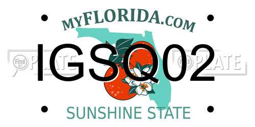 IGSQ02 Florida License Plate