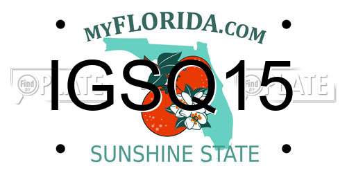 IGSQ15 Florida License Plate