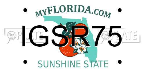 IGSR75 Florida License Plate