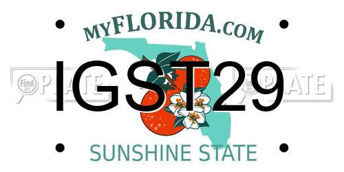 IGST29 Florida License Plate