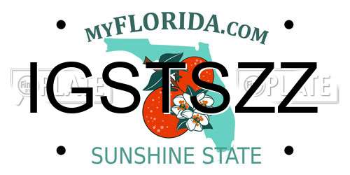 IGSTSZZ Florida License Plate