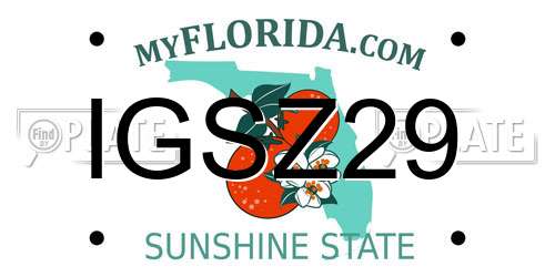 IGSZ29 Florida License Plate