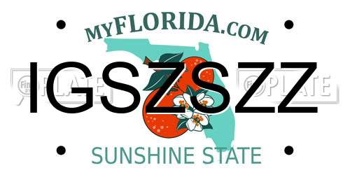 IGSZSZZ Florida License Plate
