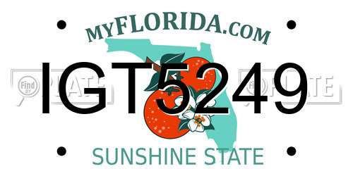 IGT5249 Florida License Plate