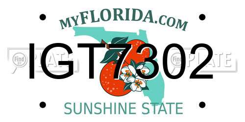 IGT7302 Florida License Plate