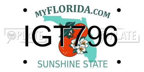 IGT796 Florida License Plate