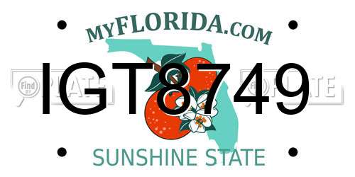 IGT8749 Florida License Plate