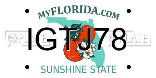 IGTJ78 Florida License Plate