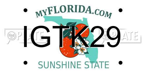 IGTK29 Florida License Plate