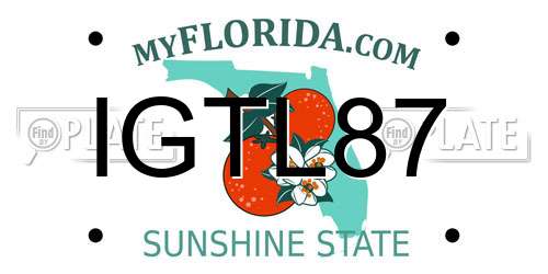 IGTL87 Florida License Plate