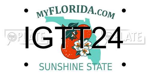 IGTT24 Florida License Plate
